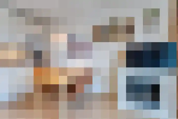 Schorrebloem 41 Nieuwvliet thumbnail 12