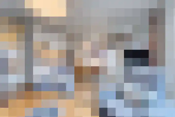 Schorrebloem 41 Nieuwvliet thumbnail 13