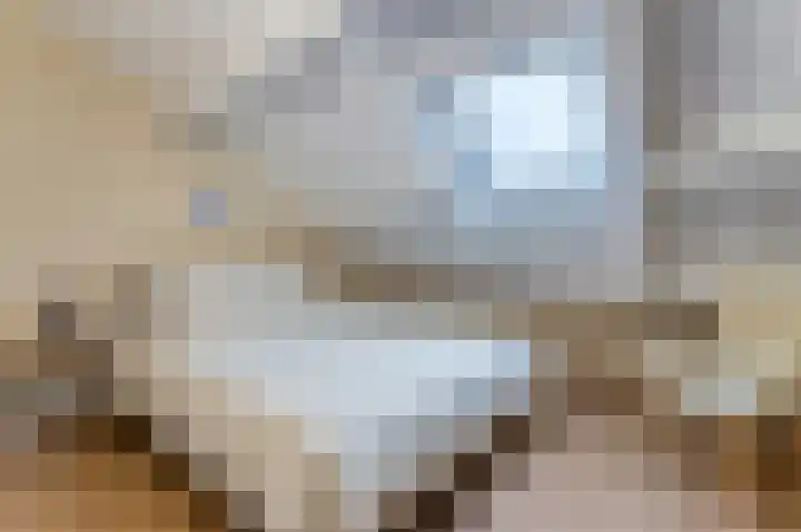 Schorrebloem 41 Nieuwvliet thumbnail 15