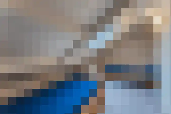 Schorrebloem 41 Nieuwvliet thumbnail 16