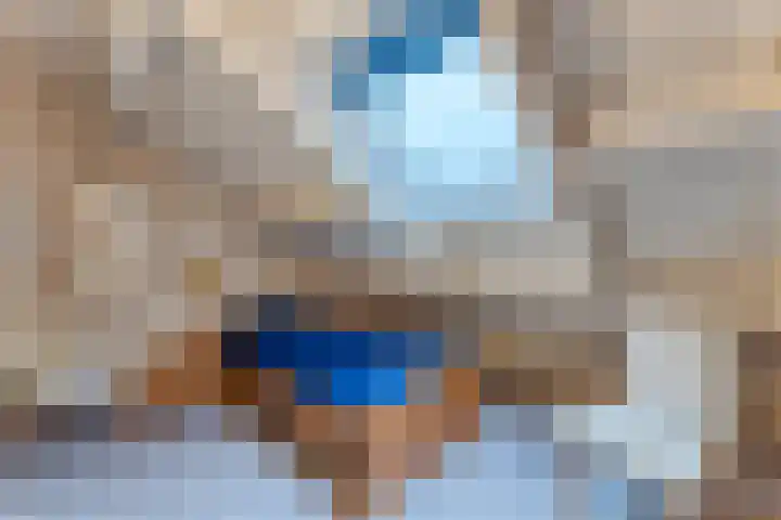 Schorrebloem 41 Nieuwvliet thumbnail 17