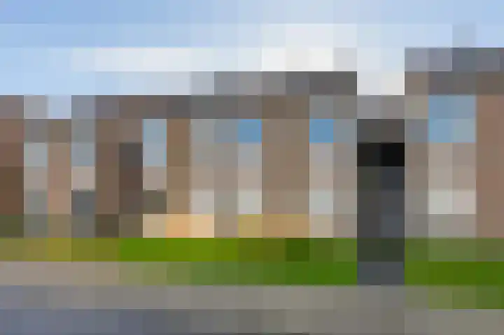 Schorrebloem 41 Nieuwvliet thumbnail 19