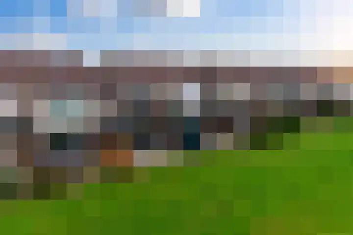 Schorrebloem 41 Nieuwvliet thumbnail 20