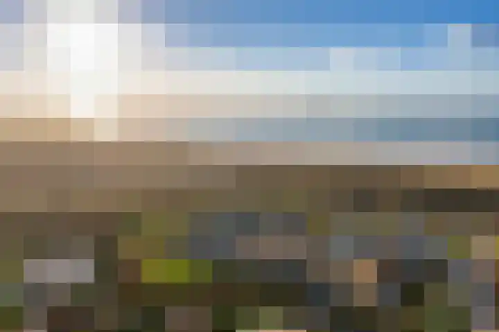 Schorrebloem 41 Nieuwvliet thumbnail 22