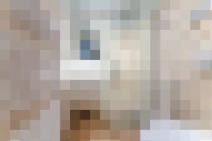 Schorrebloem 41 Nieuwvliet thumbnail 4