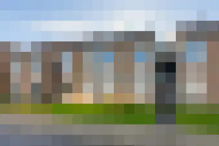 Schorrebloem 41 Nieuwvliet thumbnail 5