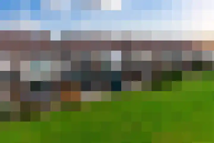 Schorrebloem 41 Nieuwvliet thumbnail 6