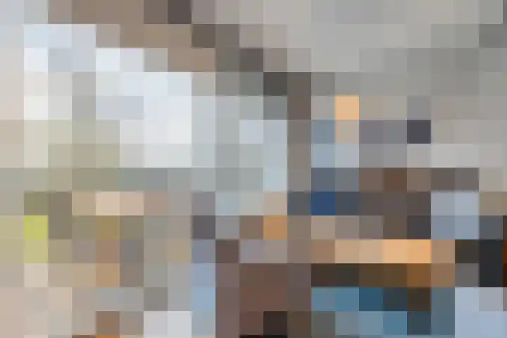 Schorrebloem 41 Nieuwvliet thumbnail 9