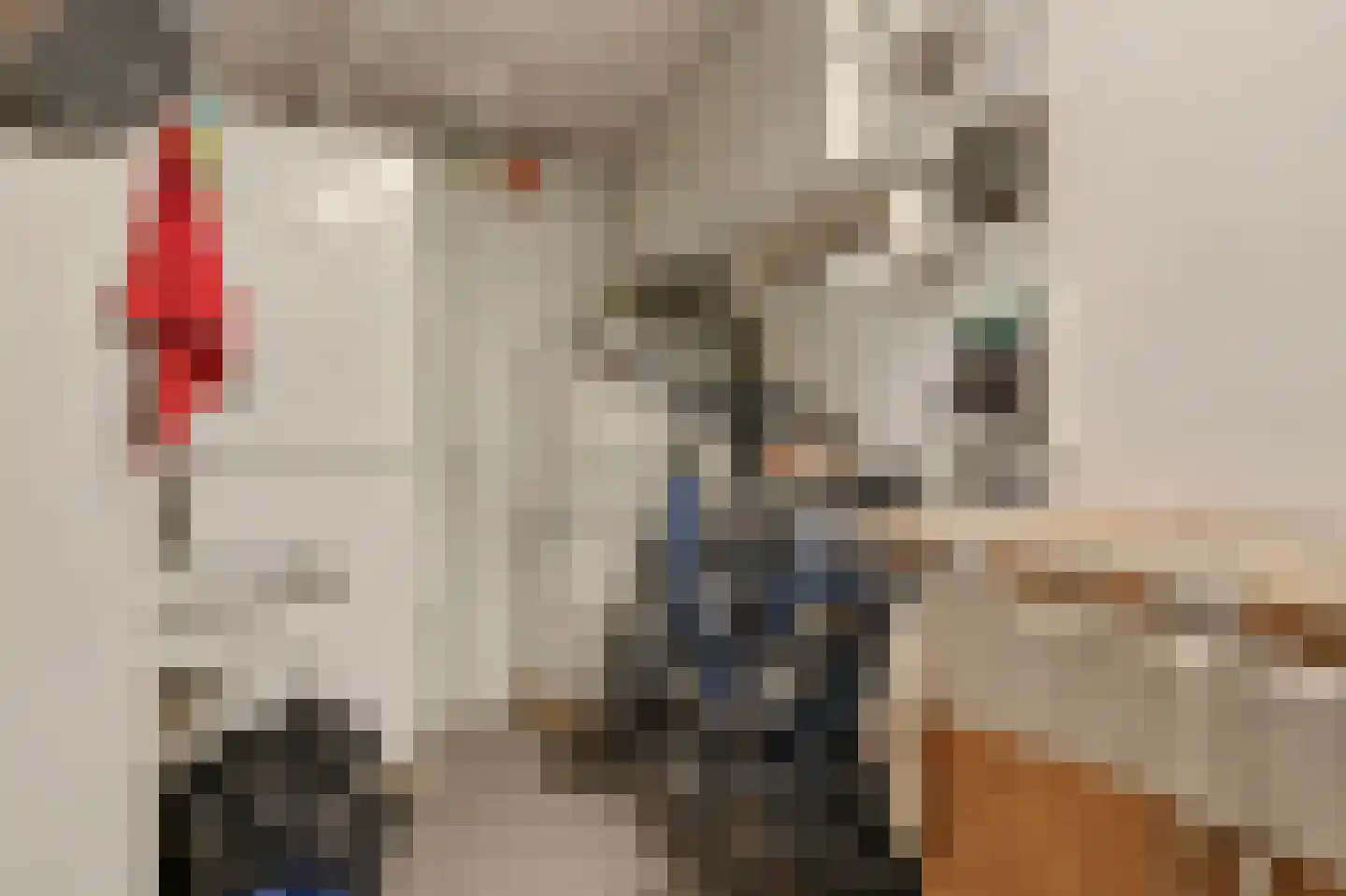 Schorredijk 3 Puttershoek thumbnail 32