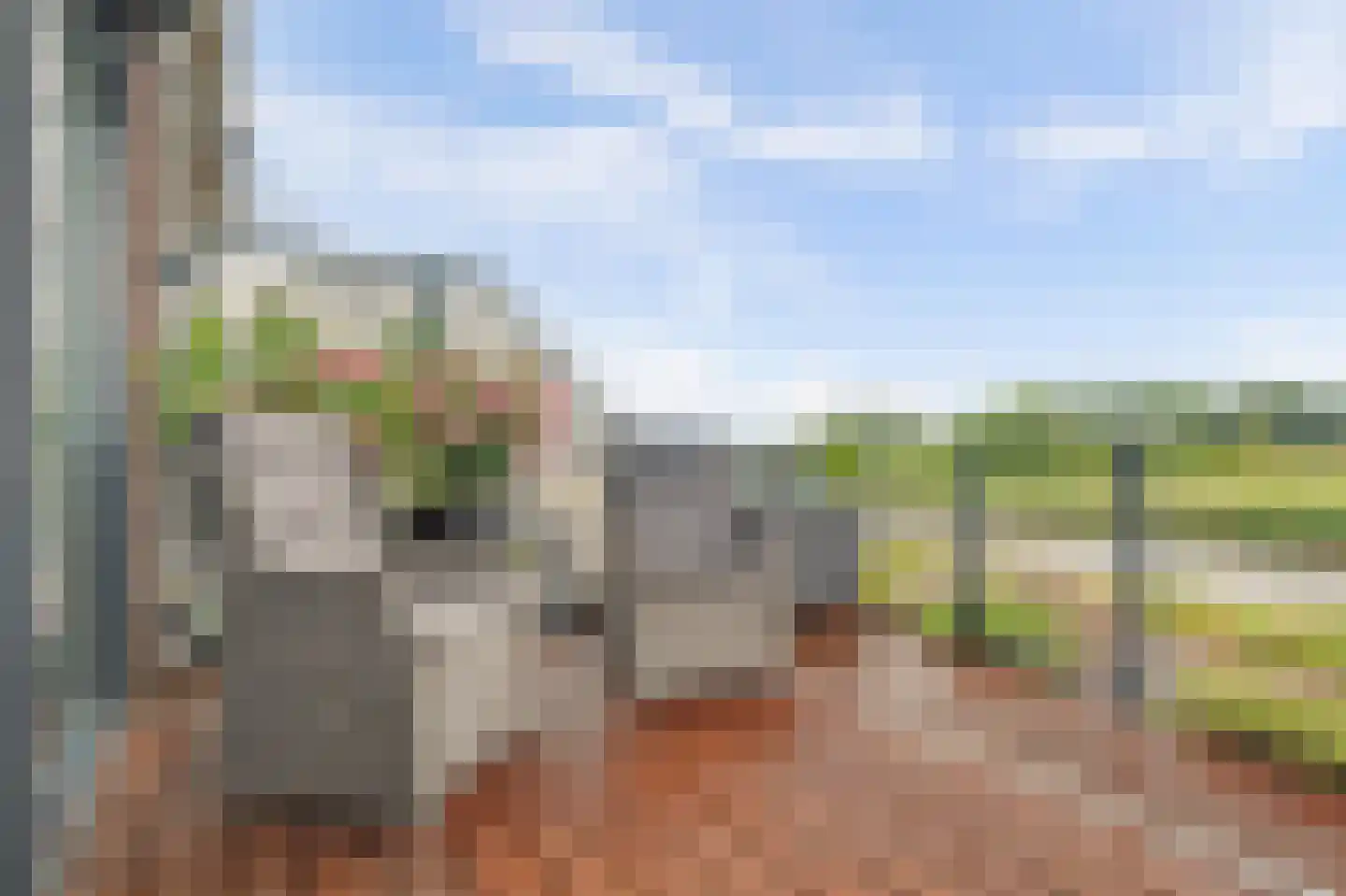Schorredijk 3 Puttershoek thumbnail 38