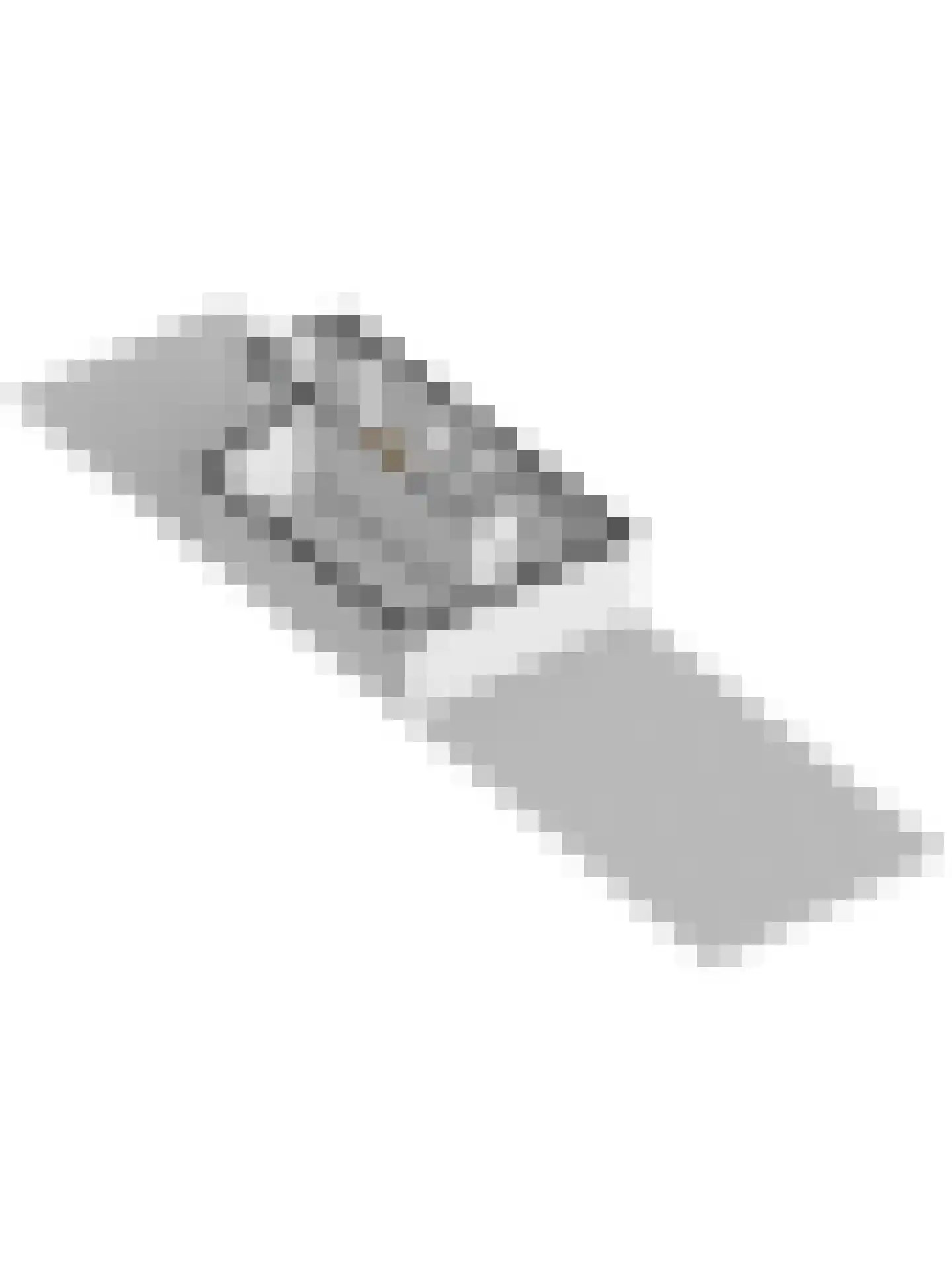 Schorredijk 3 Puttershoek thumbnail 48