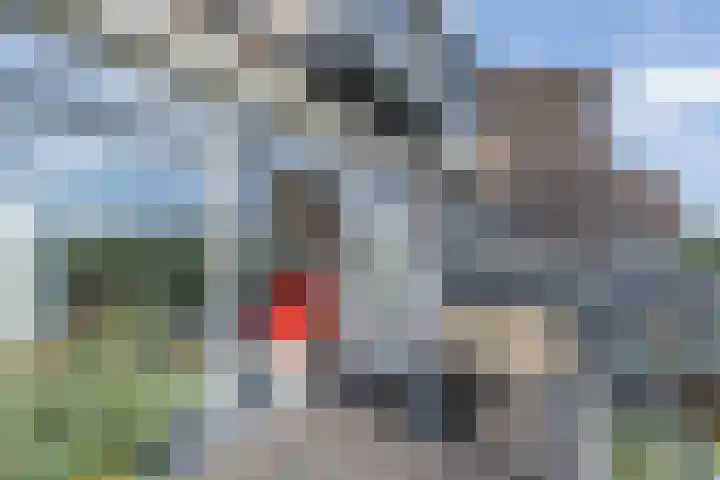 Schorredijk 39 Puttershoek thumbnail 11