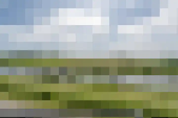Schorredijk 39 Puttershoek thumbnail 27