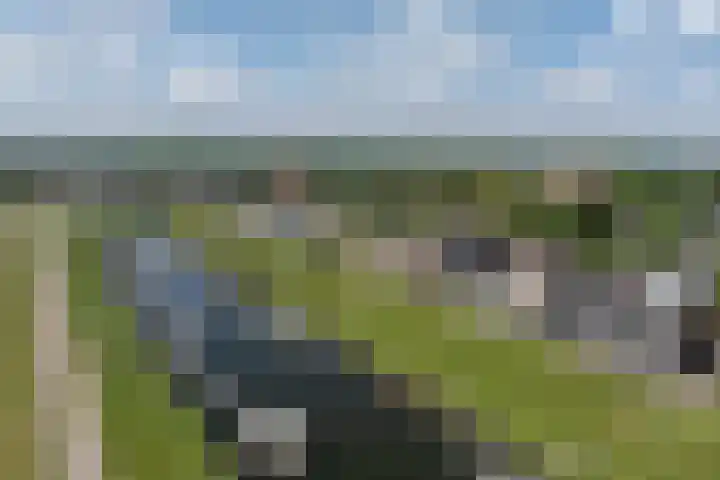 Schorredijk 39 Puttershoek thumbnail 38