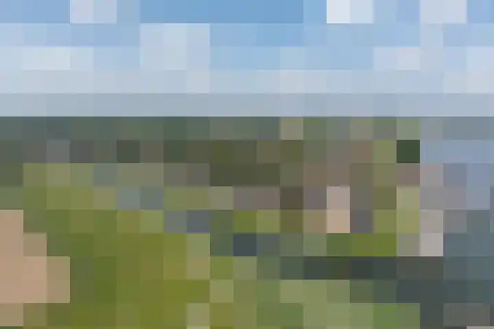 Schorredijk 39 Puttershoek thumbnail 39