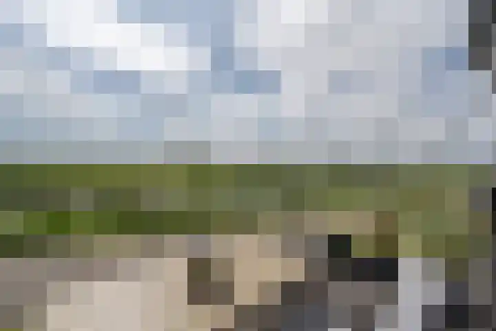 Schorredijk 39 Puttershoek thumbnail 9