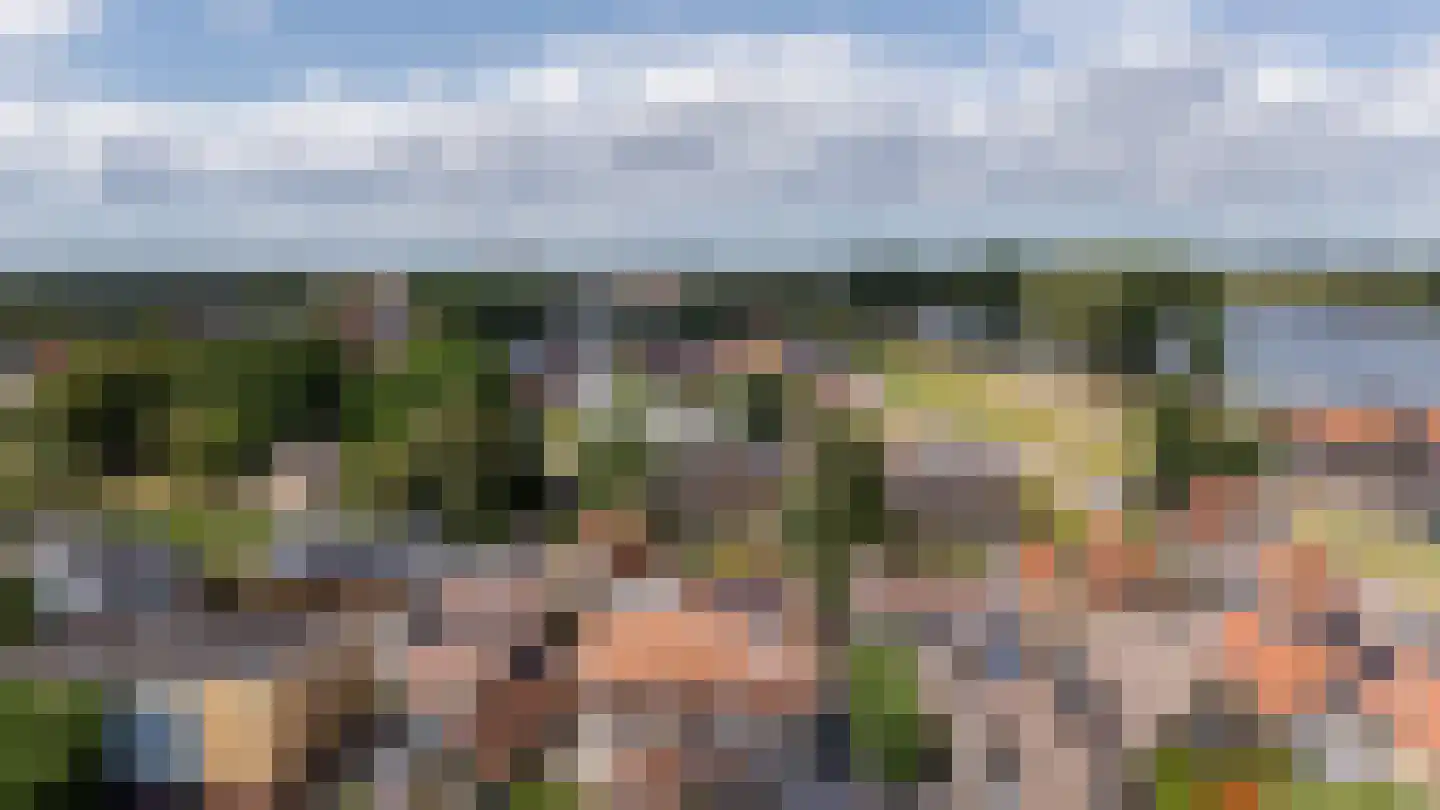 Schorredijk 9 Puttershoek thumbnail 35