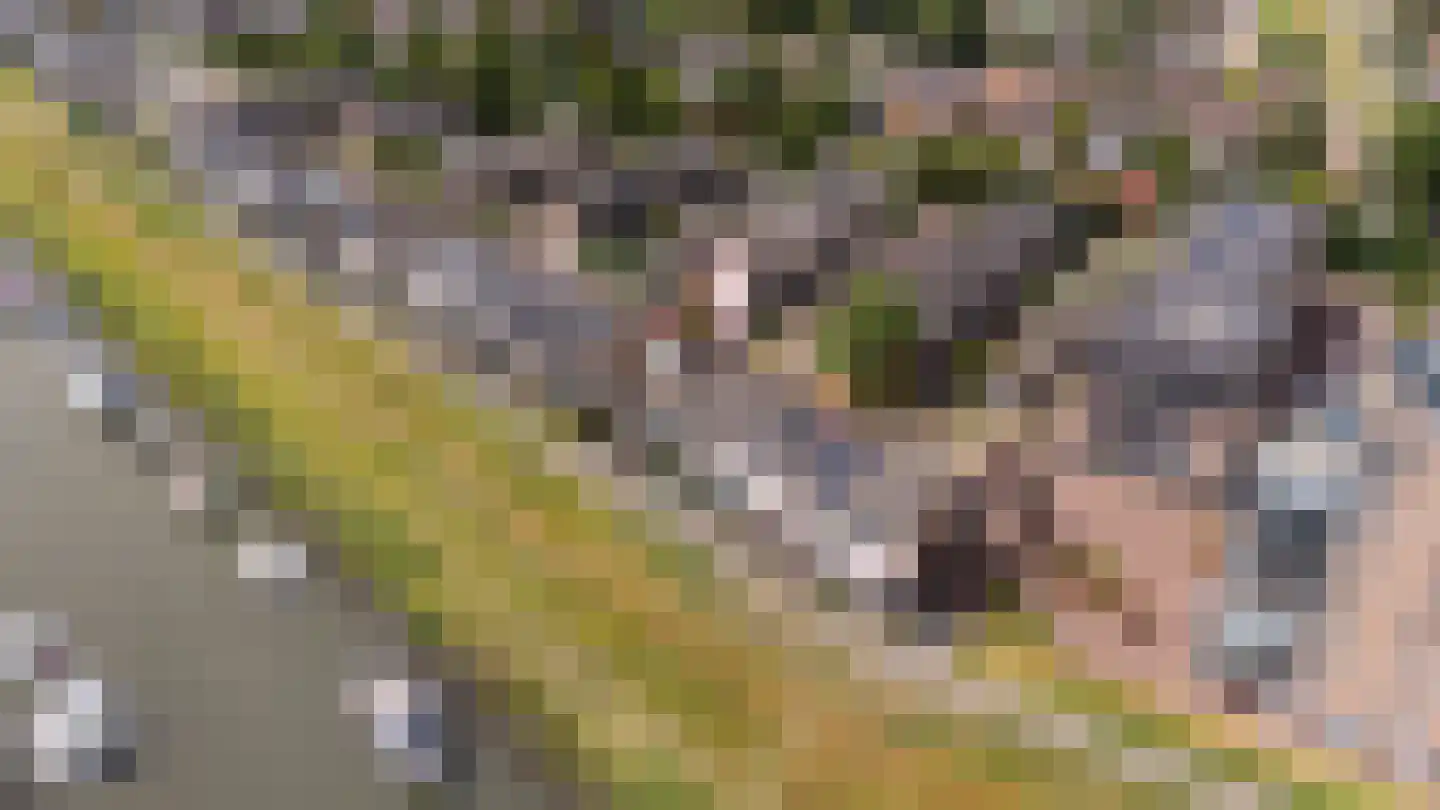 Schorredijk 9 Puttershoek thumbnail 8