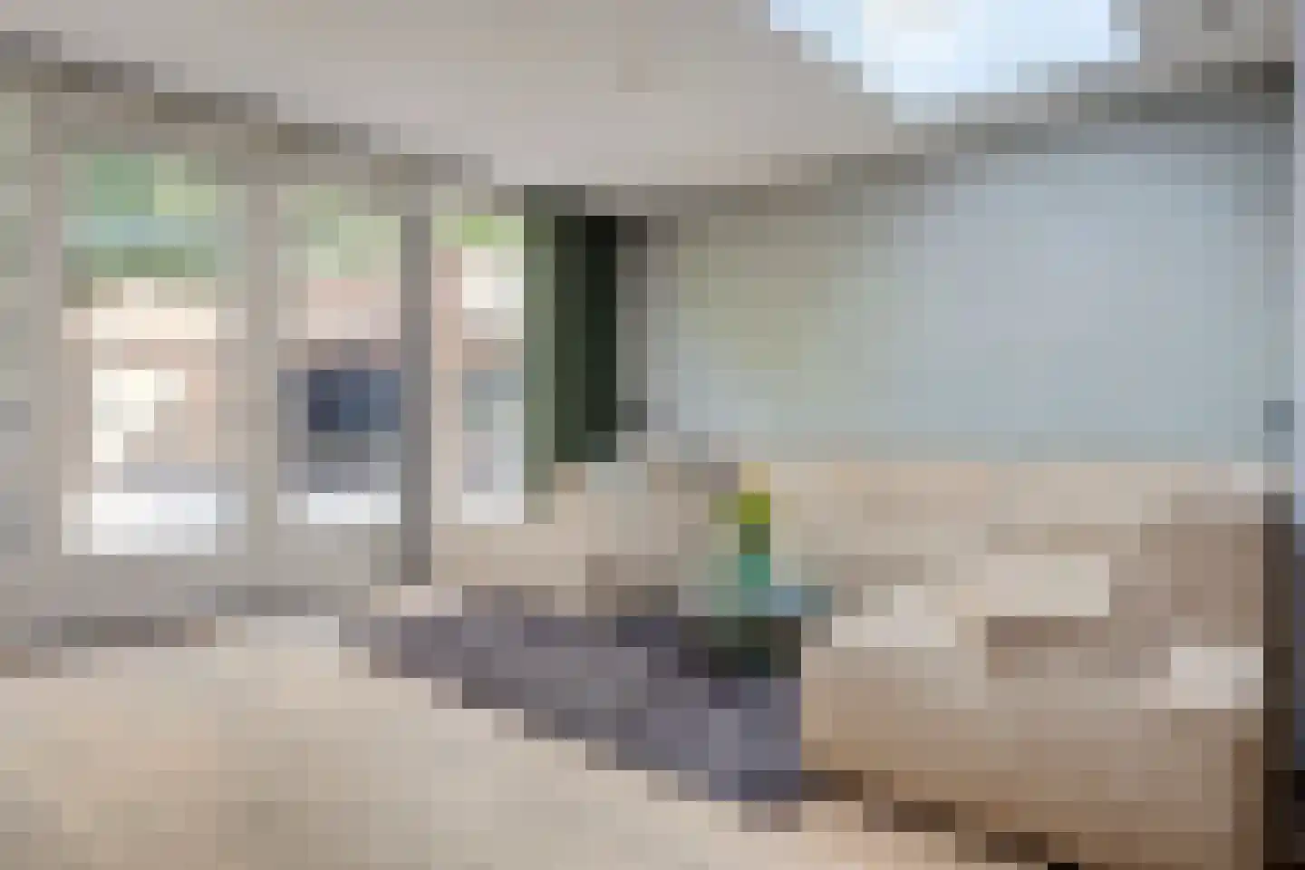Schorrekruid 2 Middenmeer thumbnail 10
