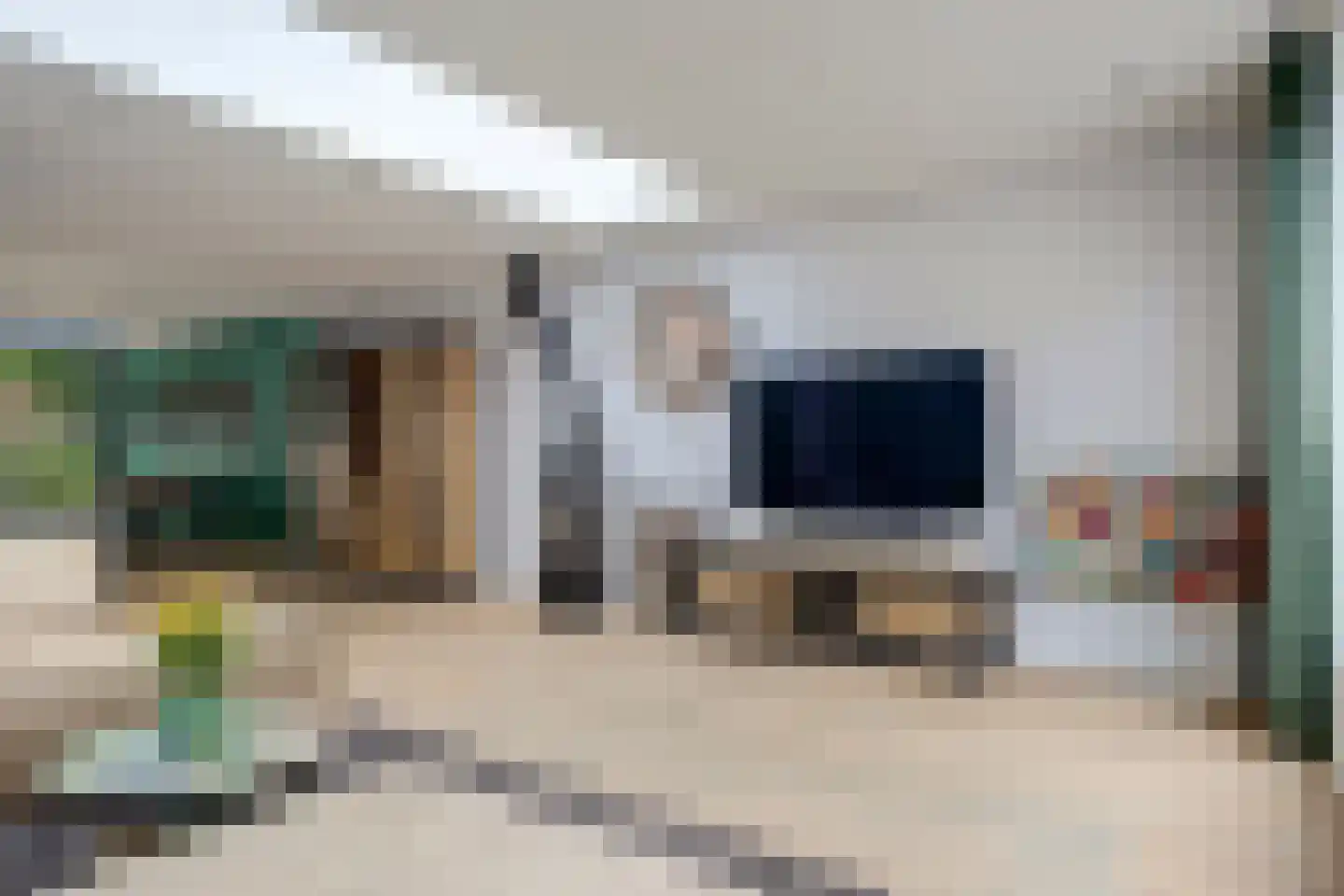 Schorrekruid 2 Middenmeer thumbnail 11