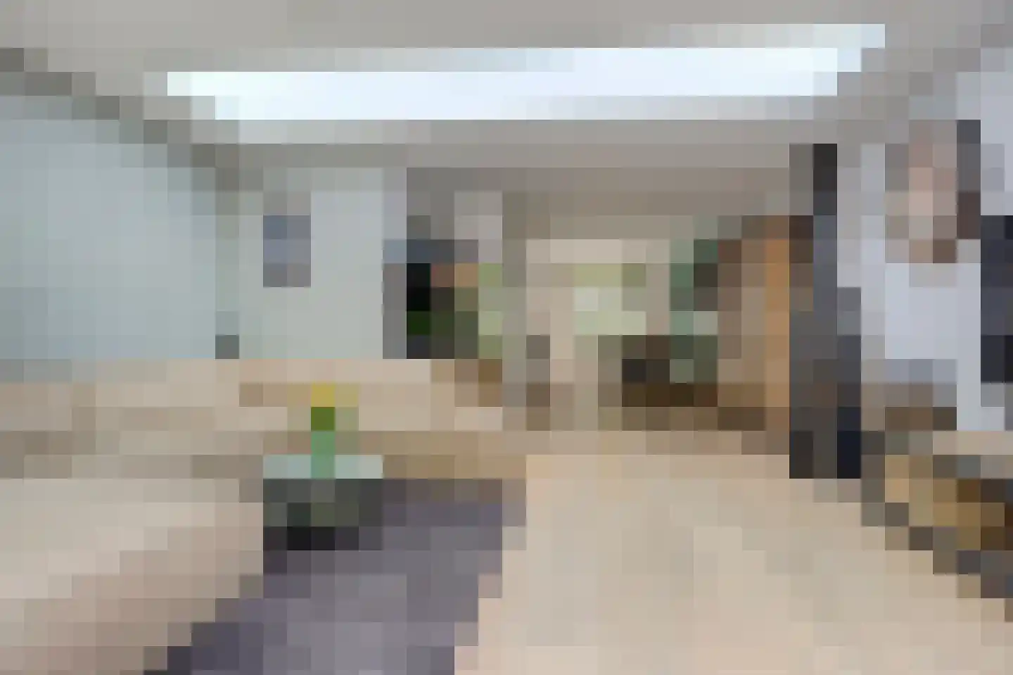 Schorrekruid 2 Middenmeer thumbnail 12