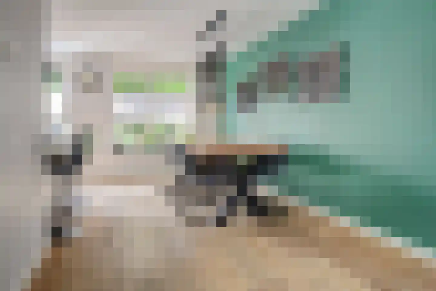 Schorrekruid 2 Middenmeer thumbnail 13