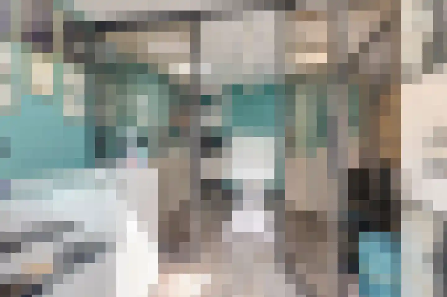 Schorrekruid 2 Middenmeer thumbnail 16