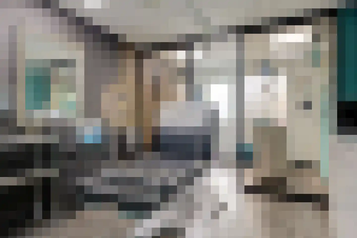 Schorrekruid 2 Middenmeer thumbnail 17