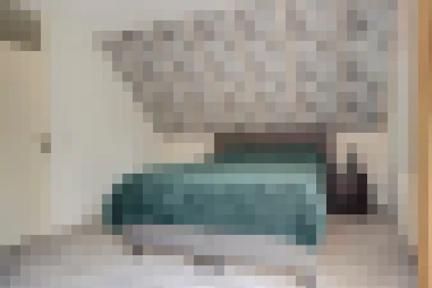 Schorrekruid 2 Middenmeer thumbnail 20