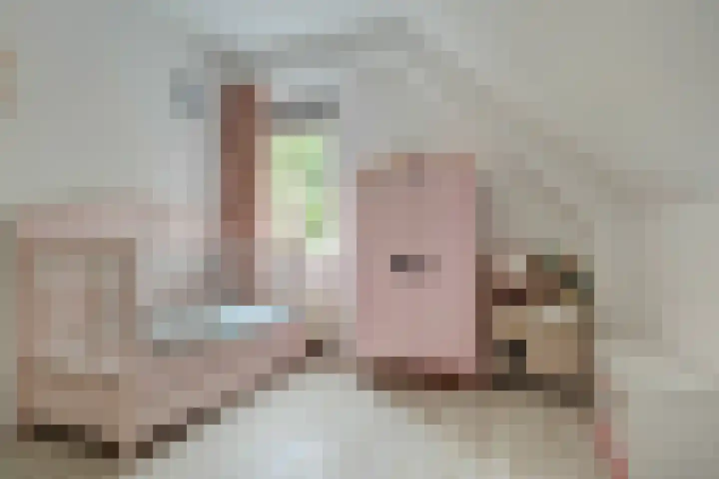 Schorrekruid 2 Middenmeer thumbnail 21