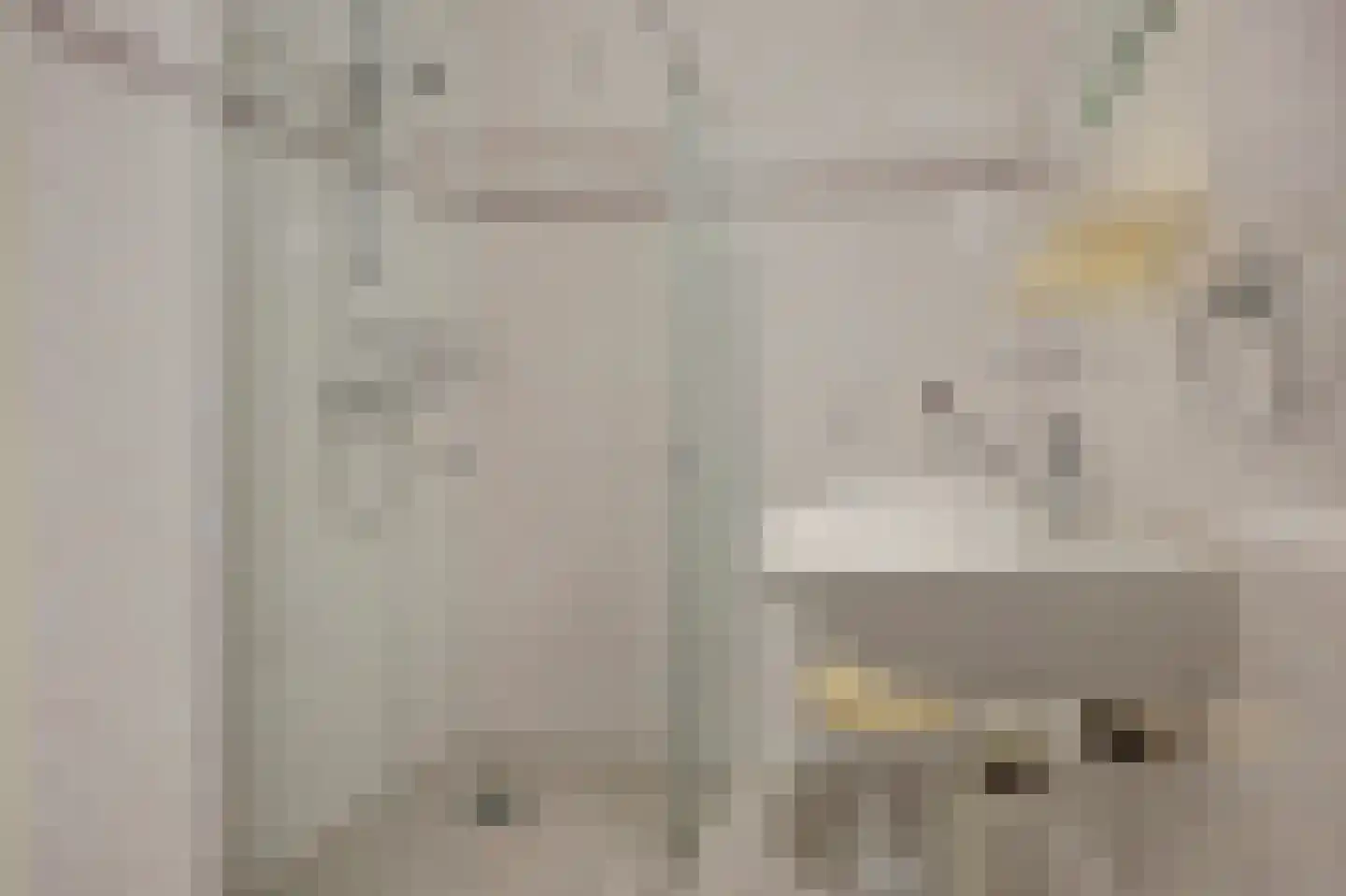 Schorrekruid 2 Middenmeer thumbnail 25