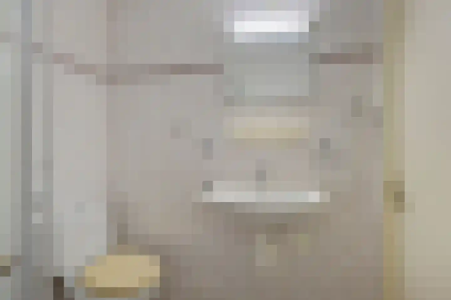Schorrekruid 2 Middenmeer thumbnail 26