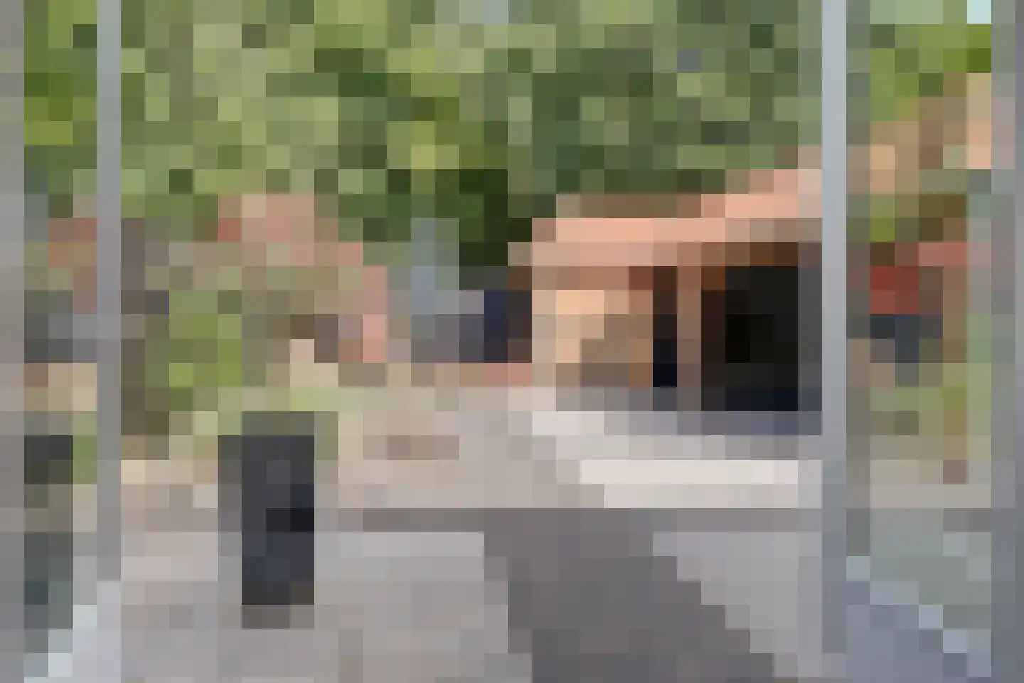 Schorrekruid 2 Middenmeer thumbnail 29