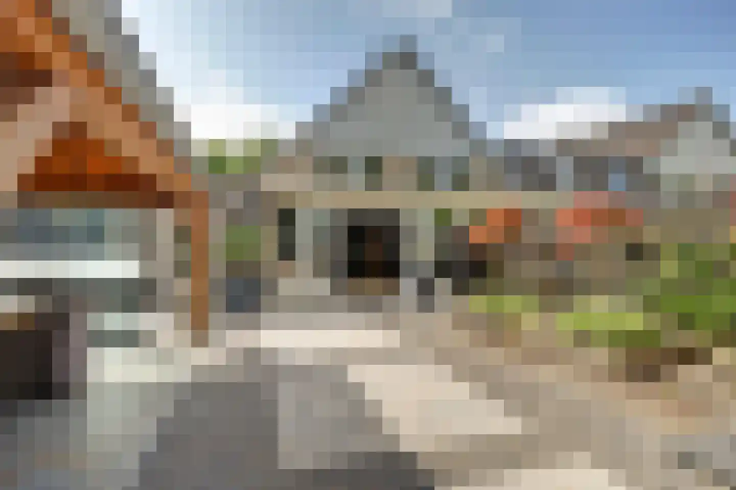 Schorrekruid 2 Middenmeer thumbnail 30