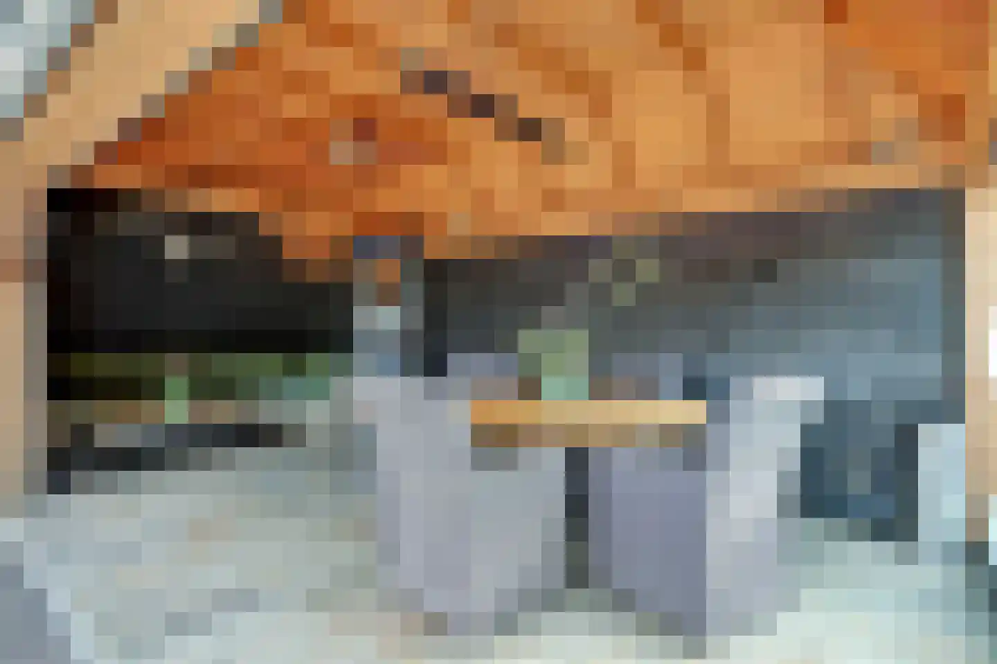 Schorrekruid 2 Middenmeer thumbnail 31