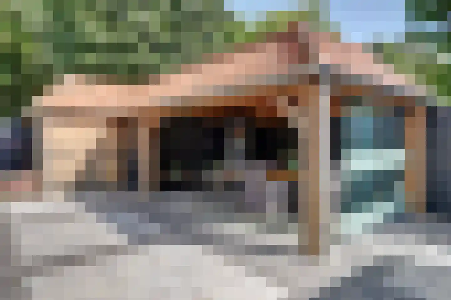 Schorrekruid 2 Middenmeer thumbnail 4