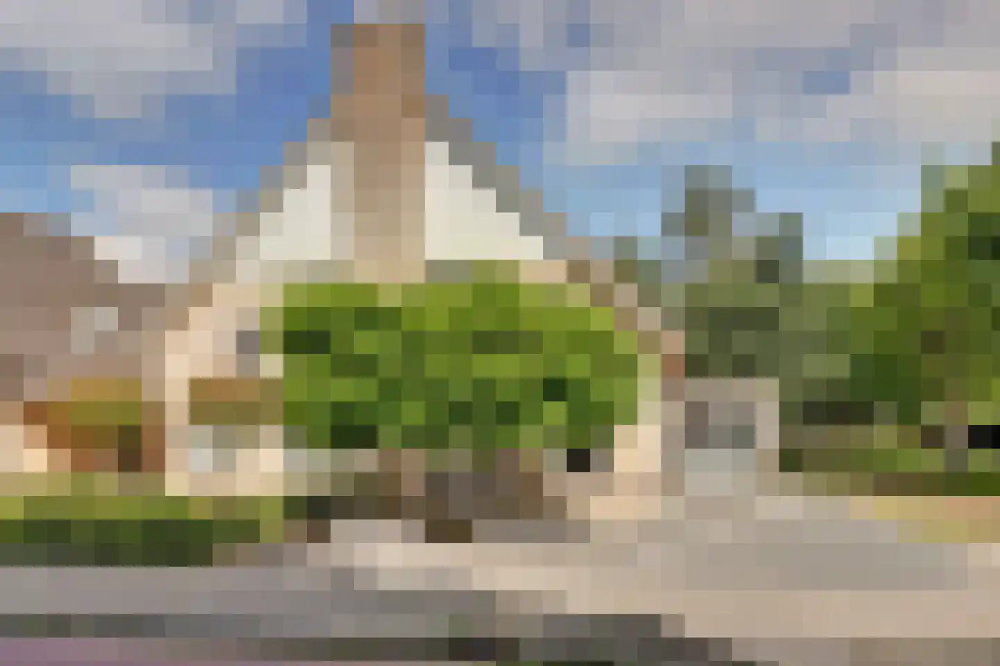 Schorrekruid 2 Middenmeer thumbnail 5