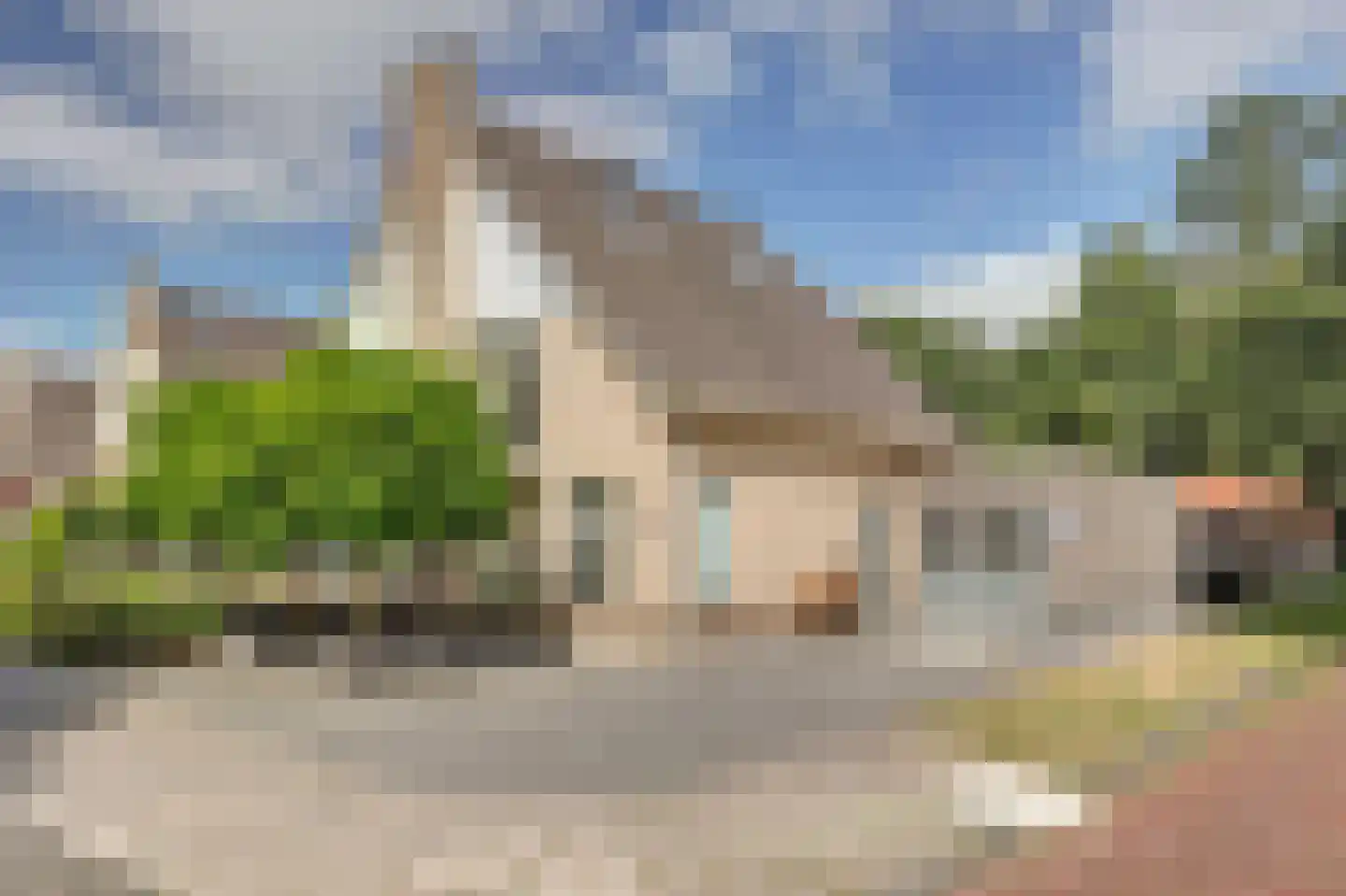 Schorrekruid 2 Middenmeer thumbnail 6