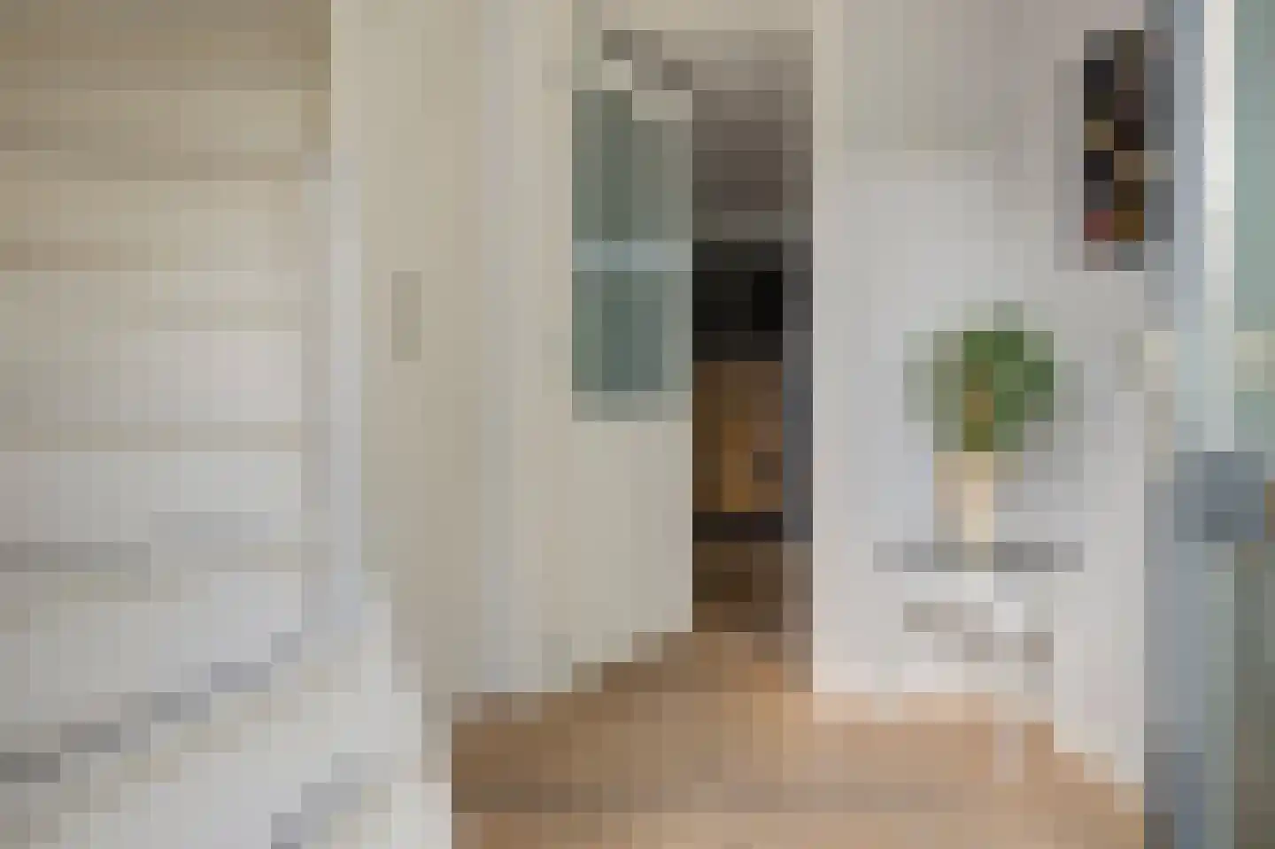 Schorrekruid 2 Middenmeer thumbnail 7