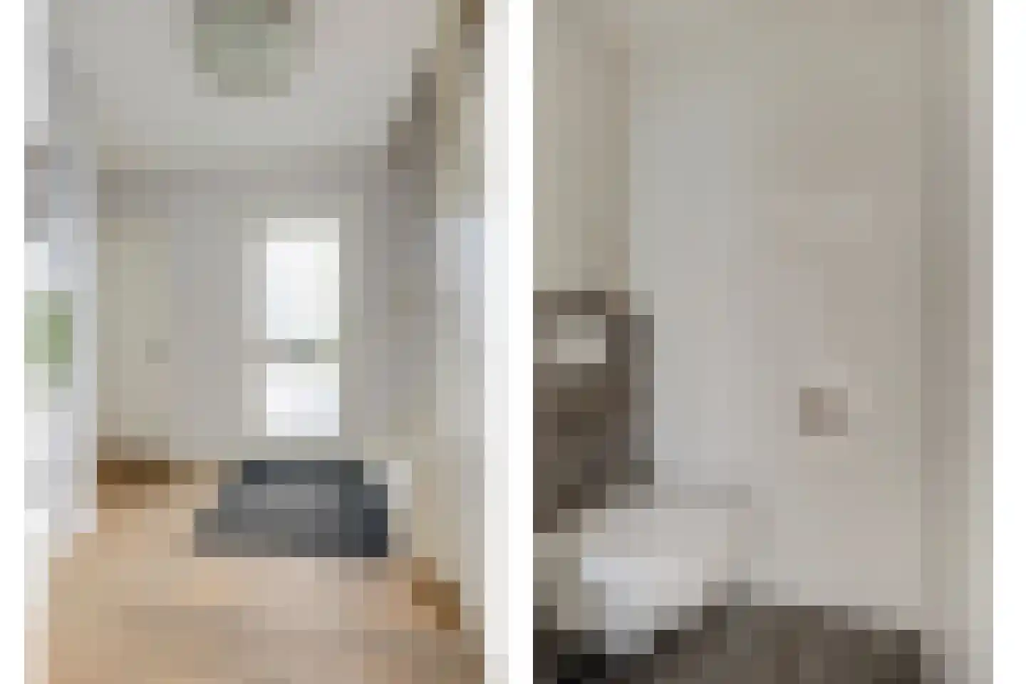 Schorrekruid 2 Middenmeer thumbnail 8