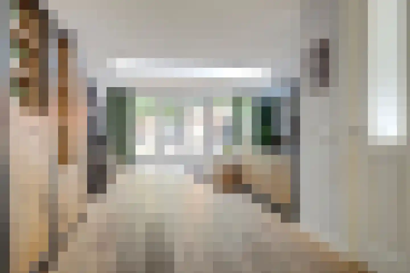 Schorrekruid 2 Middenmeer thumbnail 9