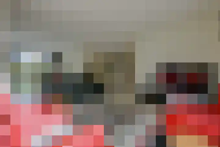 Schorrekruid 38 Middenmeer thumbnail 10