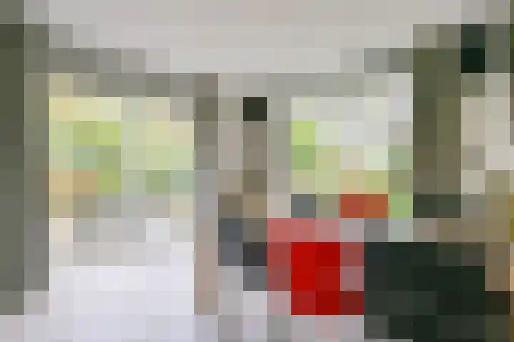 Schorrekruid 38 Middenmeer thumbnail 13