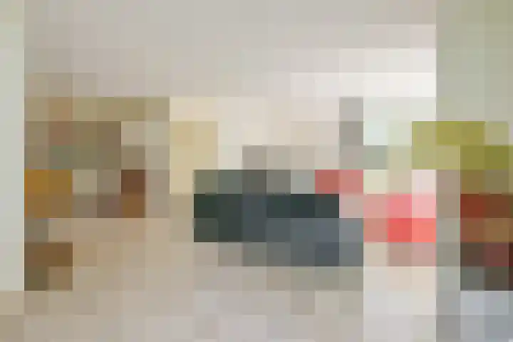 Schorrekruid 38 Middenmeer thumbnail 14