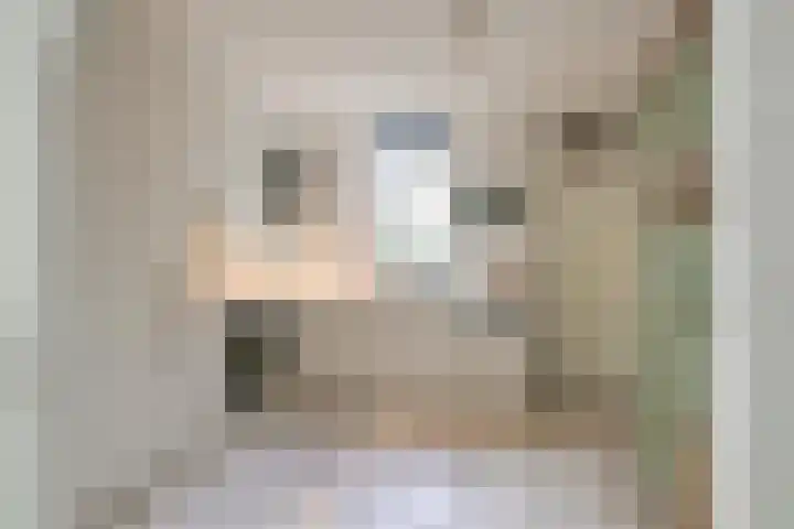 Schorrekruid 38 Middenmeer thumbnail 15