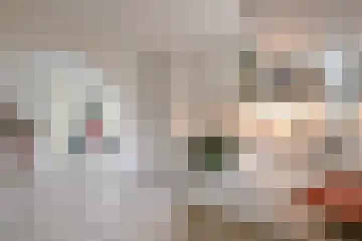 Schorrekruid 38 Middenmeer thumbnail 16