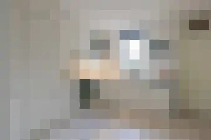 Schorrekruid 38 Middenmeer thumbnail 17