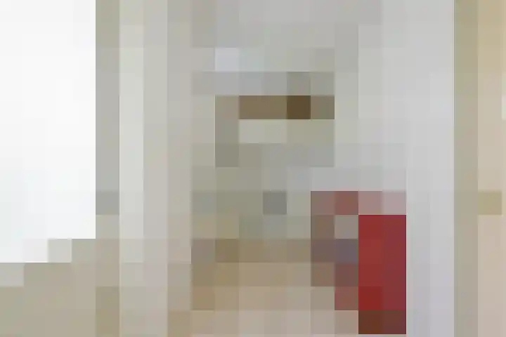 Schorrekruid 38 Middenmeer thumbnail 18