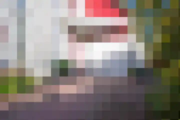 Schorrekruid 38 Middenmeer thumbnail 19