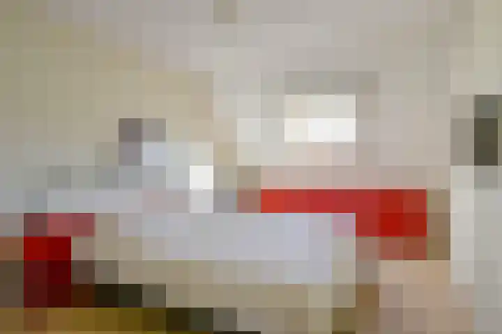 Schorrekruid 38 Middenmeer thumbnail 23
